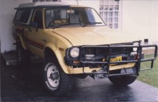 kangaroo 1.jpg