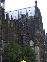 IMG_4911.jpg