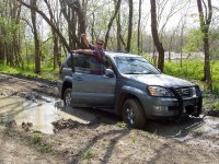 alexus stuck.jpg