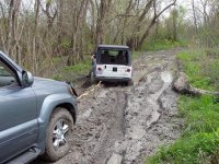 lexus-jeep.jpg