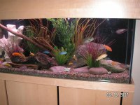 pict0004 (medium).jpg