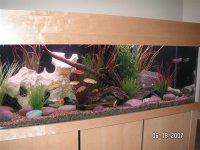 pict0007 (medium).jpg