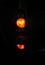 black-tails-night.jpg