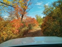 IMG_20141026_122026.jpg