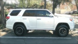 IMG_1158.jpg