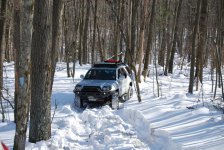 DSC_0525.jpg DSC_0525.jpg