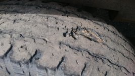 DSC_0854.jpg
