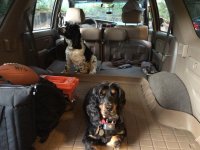 Abby & Andy 4runner1.jpg