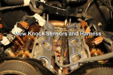 knock sensors and harness.jpg