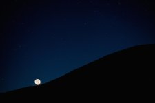 March22Camp-4.jpg