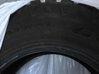 IMG_3354.jpg