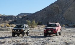 BBnWarthog6-FishCreek.jpg BBnWarthog6-FishCreek.jpg