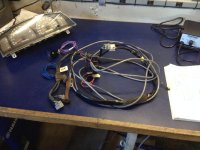IMG_7310.jpg IMG_7310.jpg