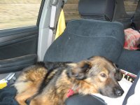 Co-pilot.jpg