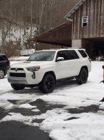 Tevis4Runner.jpg
