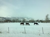 IMG_0588.jpg