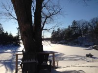 IMG_0971.jpg
