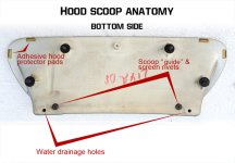 hood scoop anatomy.jpg