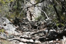 trail.jpg
