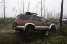 McGrew2.jpg