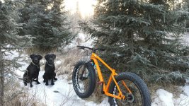 FATBIKE1.jpg