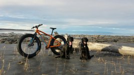 FATBIKE2.jpg
