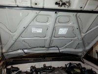 1998 4Runner 609.jpg 1998 4Runner 609.jpg