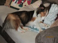 IMG_0341.jpg