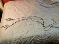 IMG_2818.jpg
