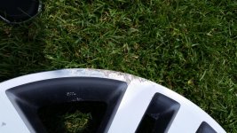 20150618_140339.jpg