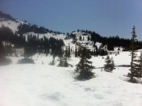photo 1.JPG