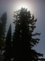 photo 2.JPG