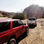 IMG_0195[1].jpg