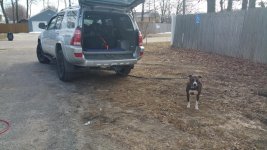 20150324_153142.jpg
