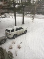 IMG_2879.jpg