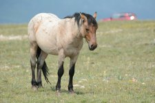 DSC_0777.jpg