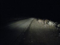 IMG_3382.jpg