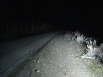 IMG_3390.jpg