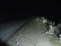IMG_3391.jpg