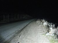 IMG_3392.jpg