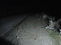 IMG_3395.jpg
