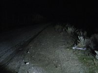 IMG_3397.jpg