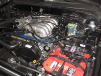 IMG_1566.jpg
