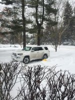 IMG_2890.jpg