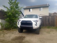 DippedGrille.jpg