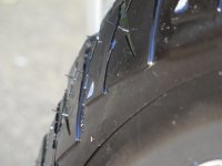IMG_2875.jpg