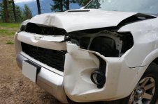 deer-damage.JPG