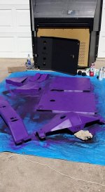 purple skid.jpg