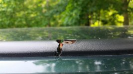 20150611_131038.jpg