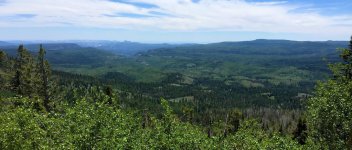 IMG_4392.jpg